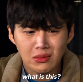 🙄 emoji @jonafzan Kim Seon Ho 김선호 Kim Sun Ho Telegram sticker 23 of 120