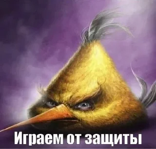 Sticker from Энгри Бёрдс Птички