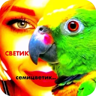 👍 emoji бобинь 🫘 Telegram sticker 3 of 31