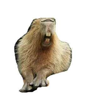 Sticker from capybara