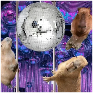 Sticker from capybara