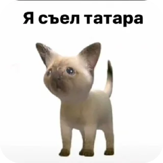 Sticker from ПИЗДА ОЧКО