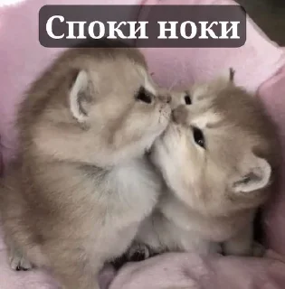 Sticker from 💍Skopnox💍