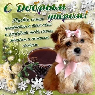 😇 emoji Доброе утро Telegram sticker 21 of 42
