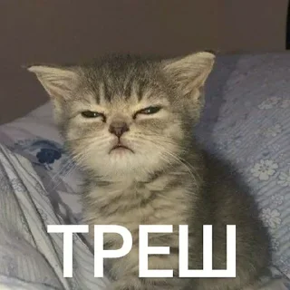 Sticker from Треш