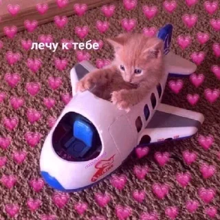 ✈️ emoji Больше стиков тут: @stikery4 Telegram sticker 24 of 50