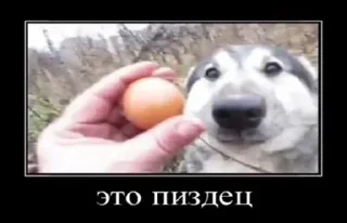 🌟 emoji Больше стиков тут: @stikery4 Telegram sticker 5 of 41