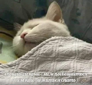 😴 emoji ООО "Гнилая интеллигенция" Telegram sticker 5 of 29