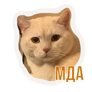 Sticker from Бусенки