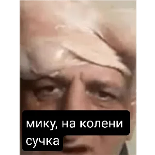 😎 emoji Мику параша Telegram sticker 6 of 13