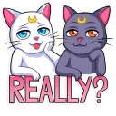 🤨 emoji Sailor Moon Telegram sticker 8 of 35