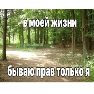 🌲 emoji Стики Virusa Telegram sticker 22 of 77