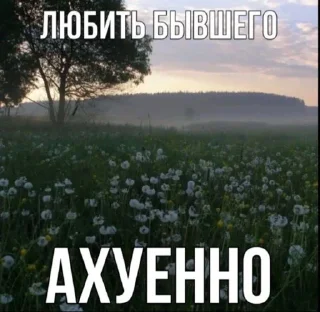 Sticker from убейте меня