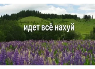 Sticker from убейте меня