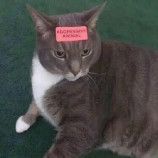 😠 emoji Какая то хуйня Telegram sticker 5 of 120