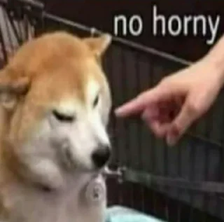 🔞 emoji Хуйня какая-то Telegram sticker 23 of 117