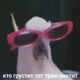 Sticker from Какая то хуйня