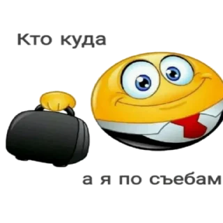 🥴 emoji Хуйня какая-то Telegram sticker 13 of 117