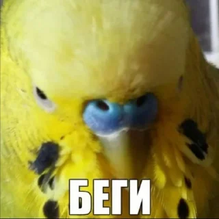 🏃 emoji грустно Telegram sticker 15 of 27