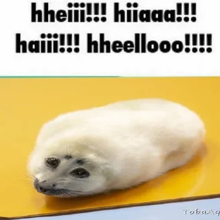 Sticker from seals