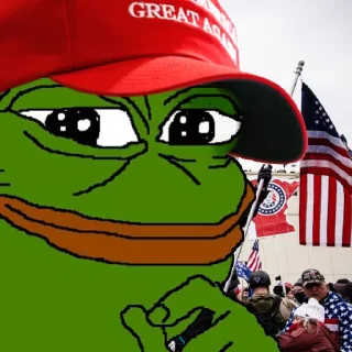 Sticker from MAGA Pepe @TIMEFLIESWHENYOU