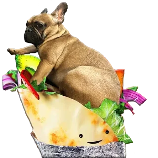 💕 emoji Шаурма Женя Telegram sticker 19 of 31