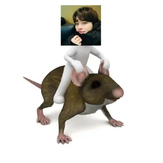 🐀 emoji Sunny house боги ➡️ @Ctikerubot Telegram sticker 20 of 64