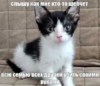Sticker from Котята страх