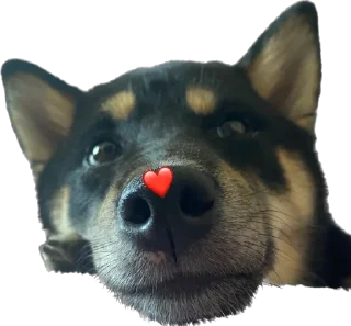 Sticker from Yuki