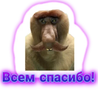 🙏 emoji Смешные Telegram sticker 24 of 26