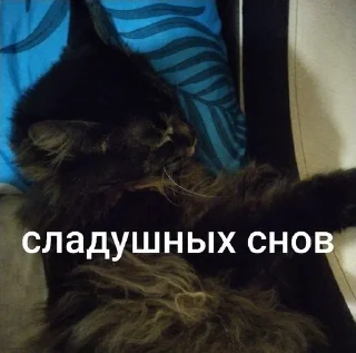 Sticker from Малфуша и Мишаня