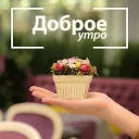 Sticker from Заработок онлайн @Dohod_vtgbot