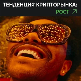 Sticker from Бытовуха Криптана @raster_crypto