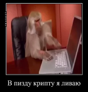 💻 emoji @crypto_bibizyana АЛЬФА🟡 Telegram sticker 7 of 114