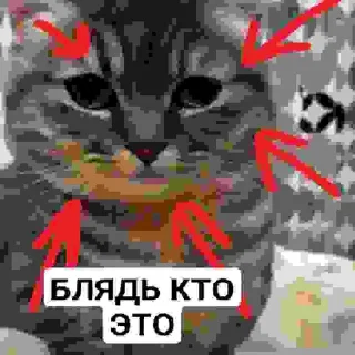 🤙 emoji БЛЯДЬ КТО ЭТО Telegram sticker 21 of 24