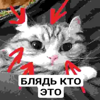 😂 emoji БЛЯДЬ КТО ЭТО Telegram sticker 18 of 24