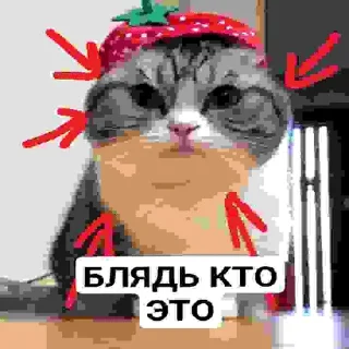 😡 emoji БЛЯДЬ КТО ЭТО Telegram sticker 8 of 24