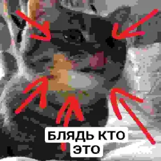 🦧 emoji БЛЯДЬ КТО ЭТО Telegram sticker 24 of 24