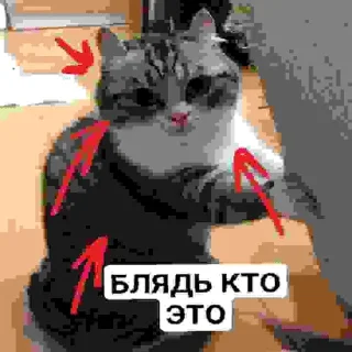 ⚠️ emoji БЛЯДЬ КТО ЭТО Telegram sticker 6 of 24
