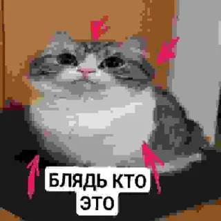❤️ emoji БЛЯДЬ КТО ЭТО Telegram sticker 2 of 24