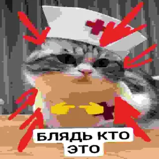 🤍 emoji БЛЯДЬ КТО ЭТО Telegram sticker 12 of 24