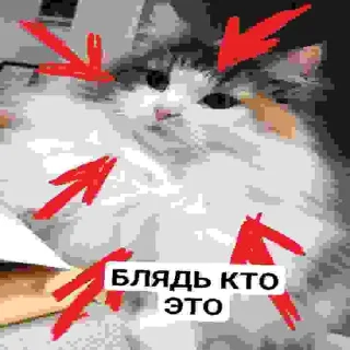 🤨 emoji БЛЯДЬ КТО ЭТО Telegram sticker 14 of 24