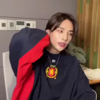 🧉 emoji ⌗hyunjin fr stray kids @archlwood Telegram sticker 10 of 35