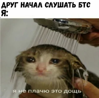 😭 emoji АНТИ БТС Telegram sticker 22 of 34