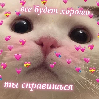 💖 emoji BRUH Telegram sticker 24 of 26