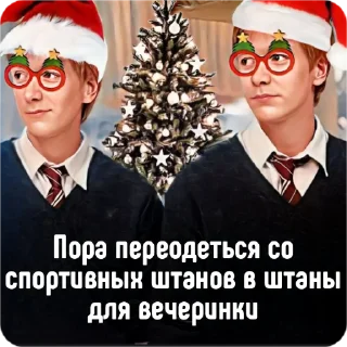 Sticker from 🎄Новогодний Хогвартс @nichegonet1