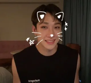 😺 emoji Чан Бан Telegram sticker 6 of 33