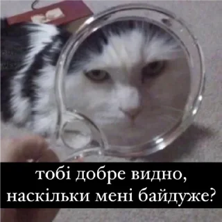 😐 emoji АТБ, 16:40 Telegram sticker 18 of 70