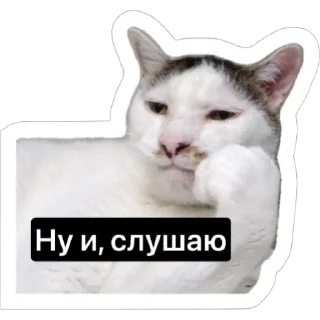 Sticker from Смешные коты