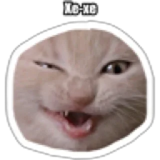 Sticker from Смешные коты